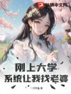���ϴ�ѧ��ϵͳ���������ţ�