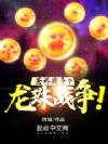圣杯战争?龙珠战争!